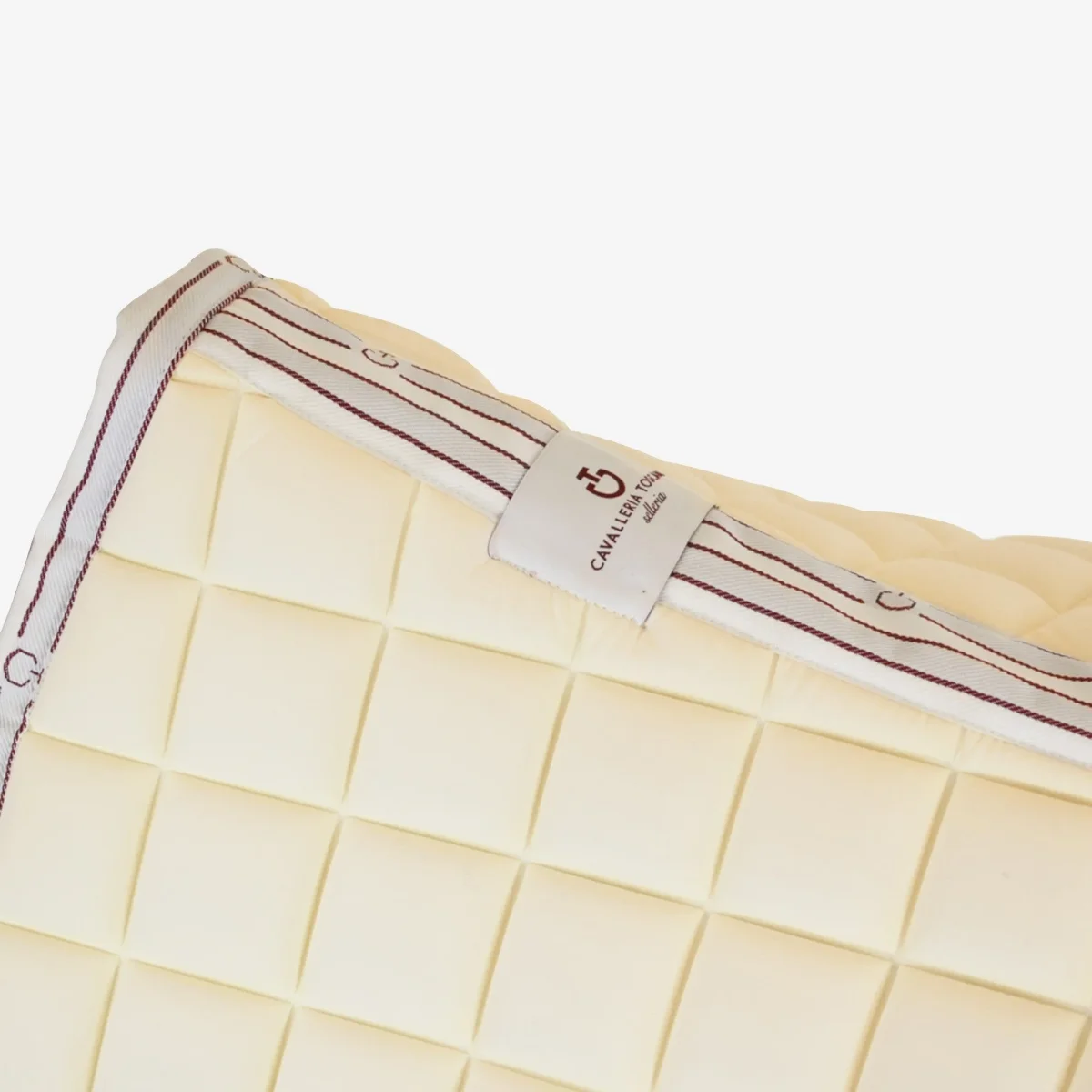 SOTTOSELLA TECNICO DRESSAGE CAVALLERIA TOSCANA - immagine 4