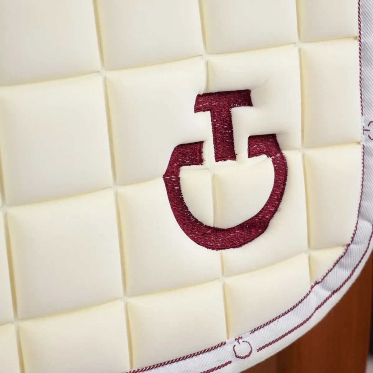 SOTTOSELLA TECNICO DRESSAGE CAVALLERIA TOSCANA - immagine 5