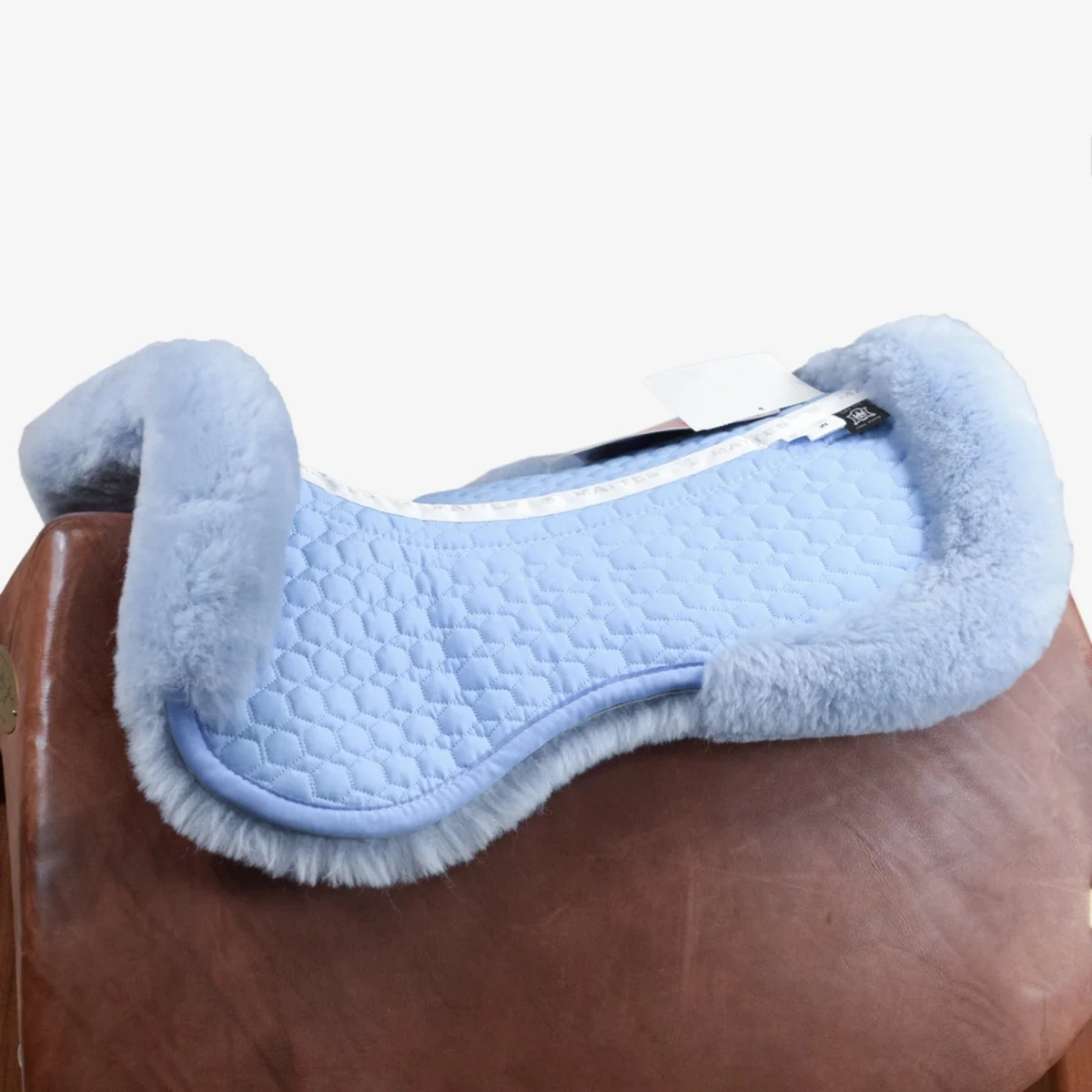 AGNELLINO SALVASCHIENA MATTES - AZZURRO - immagine 3