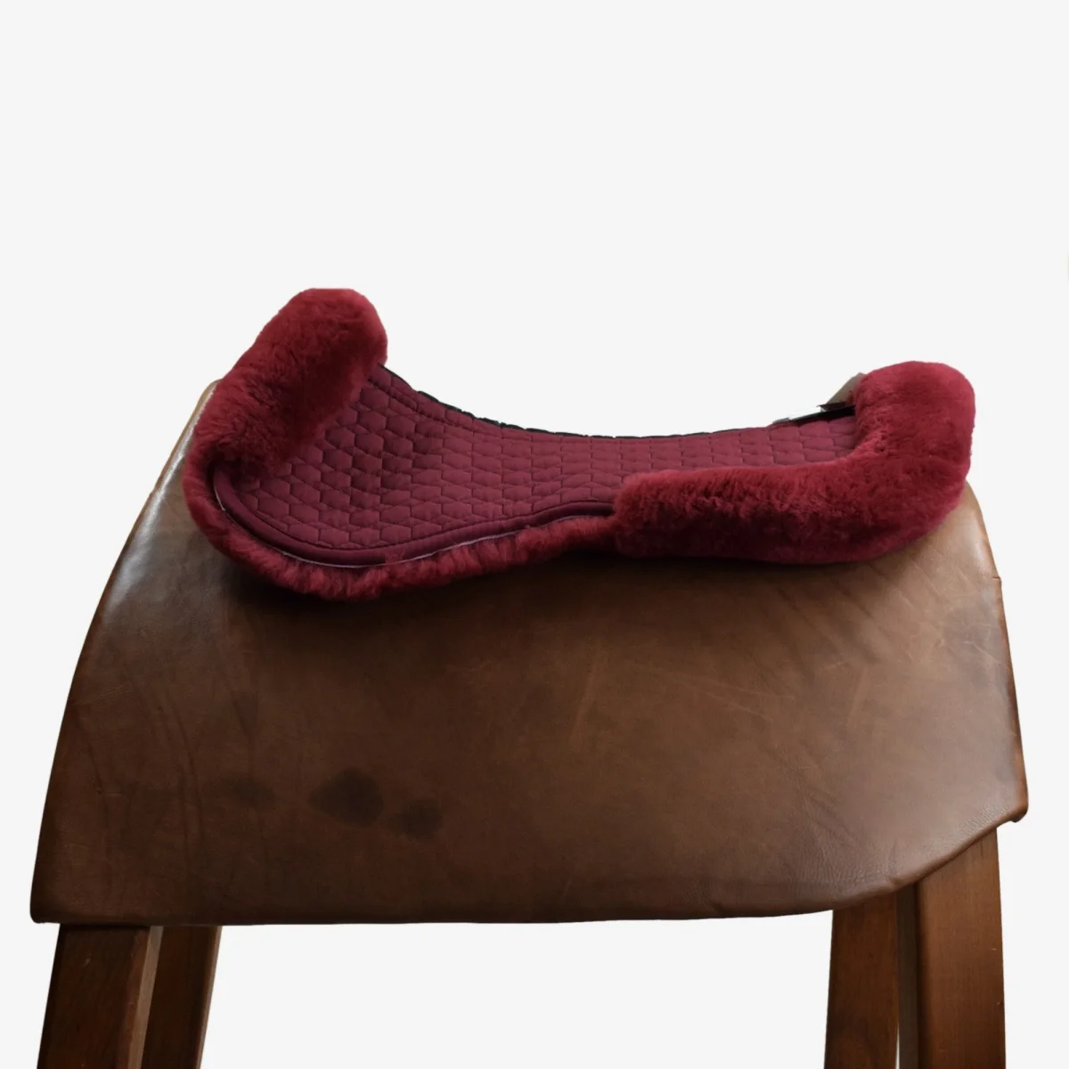 AGNELLINO SALVASCHIENA MATTES - BORDEAUX - immagine 2