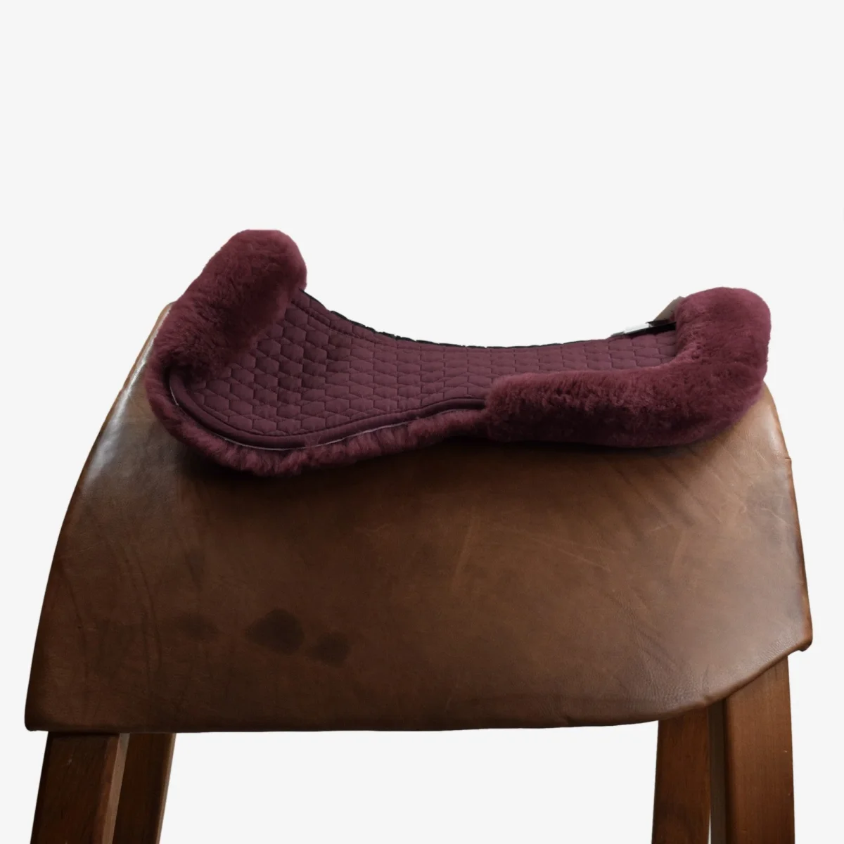 AGNELLINO SALVASCHIENA MATTES - PRUGNA - immagine 2