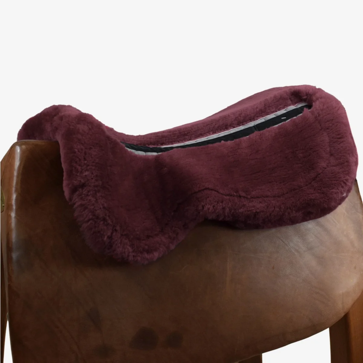 AGNELLINO SALVASCHIENA MATTES - PRUGNA - immagine 4