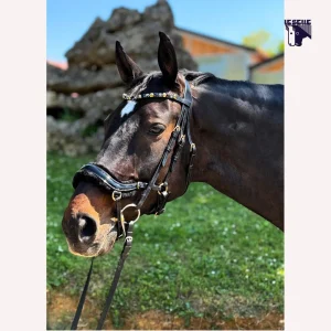 TESTIERA TIPO MICKLEM NERA