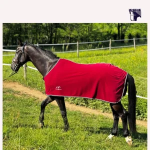 COPERTA PILE SARM - BORDEAUX