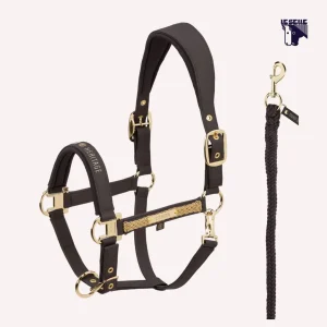 CAVEZZA E LUNGHINA ESKADRON FAUX LEATHER HERITAGE - MARRONE