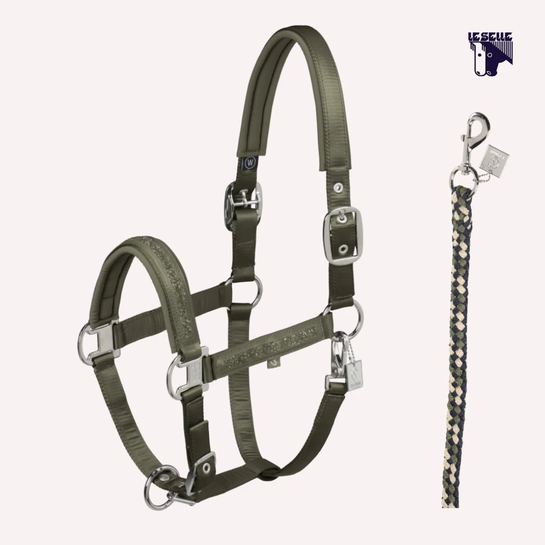 CAVEZZA E LUNGHINA ESKADRON MATTGLOSS JEWEL - VERDE OLIVA