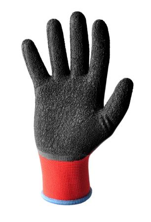 G.NTO POLIEST SP/LATTICE-CRINKLE