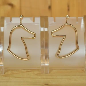 ORECCHINI "PROFILE" DESORI