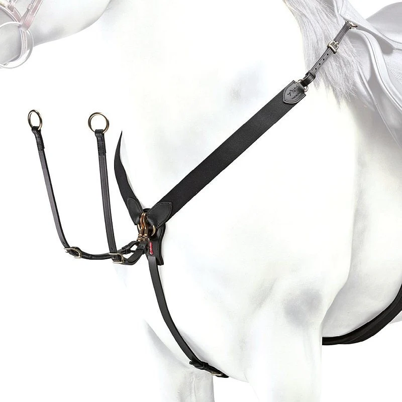 PETTORALE A Y SELLERIA EQUIPE MARRONE - immagine 3