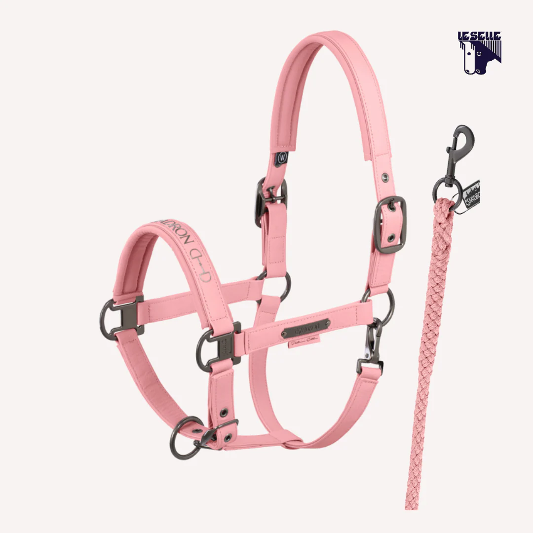 CAVEZZA E LUNGHINA ESKADRON FAUX LEATHER - ROSA