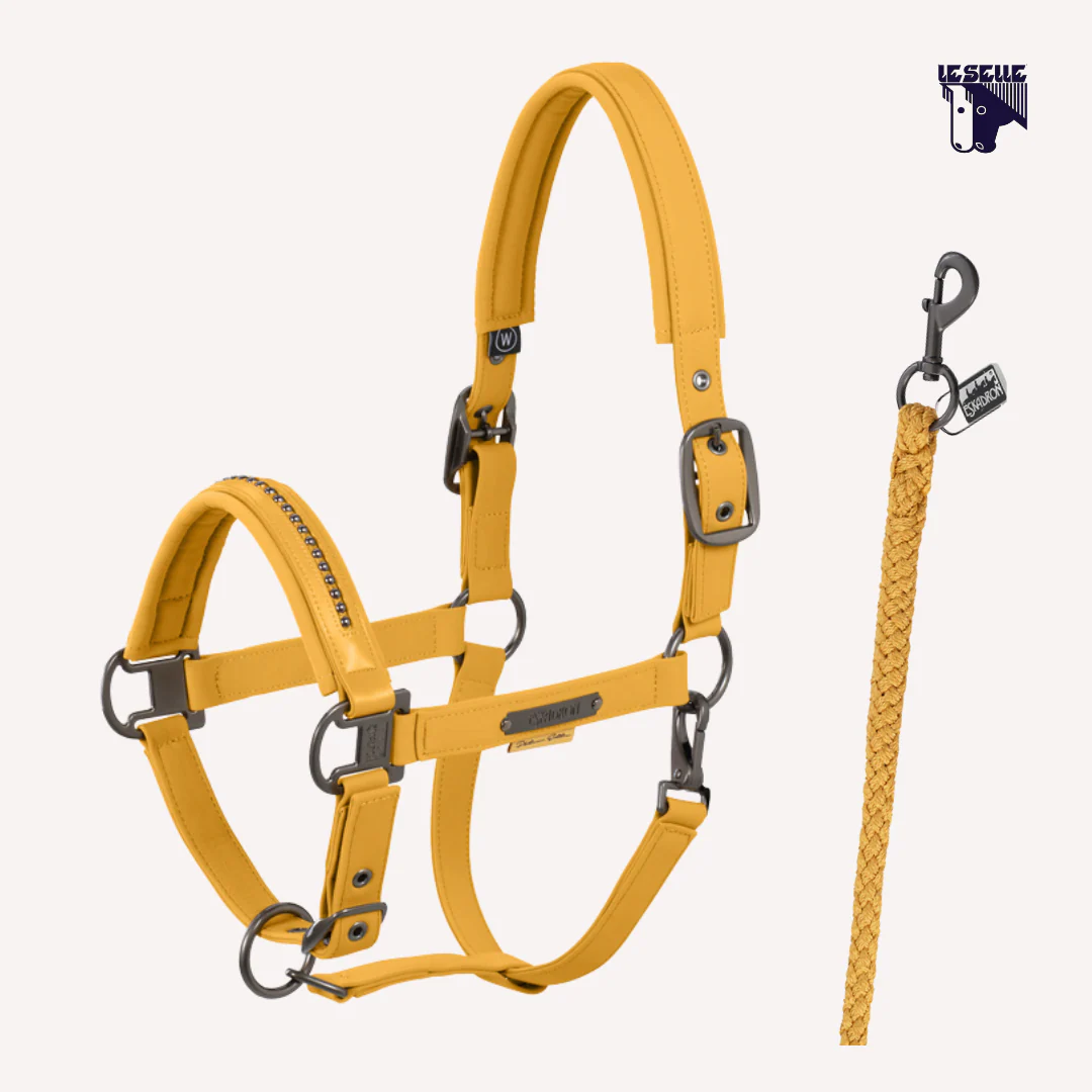 CAVEZZA E LUNGHINA ESKADRON SOFTSHELL PEARL - OCRA