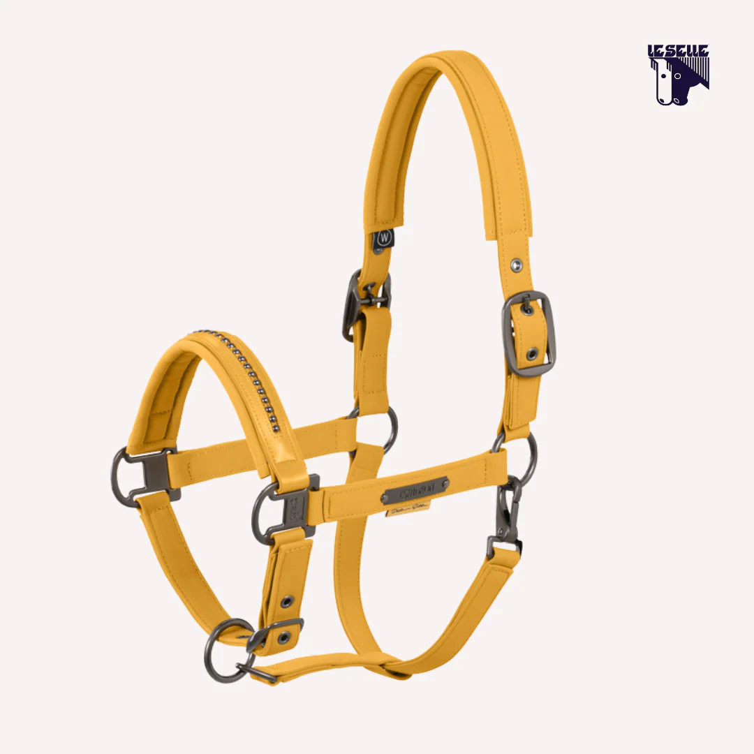 CAVEZZA E LUNGHINA ESKADRON SOFTSHELL PEARL - OCRA - immagine 3