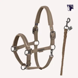 CAVEZZA E LUNGHINA ESKADRON SOFTSHELL PEARL - TAUPE