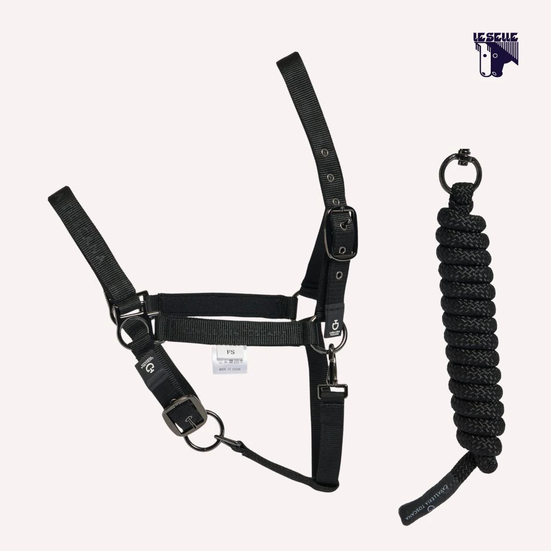 CAVEZZA E LUNGHINA CAVALLERIA TOSCANA - immagine 2