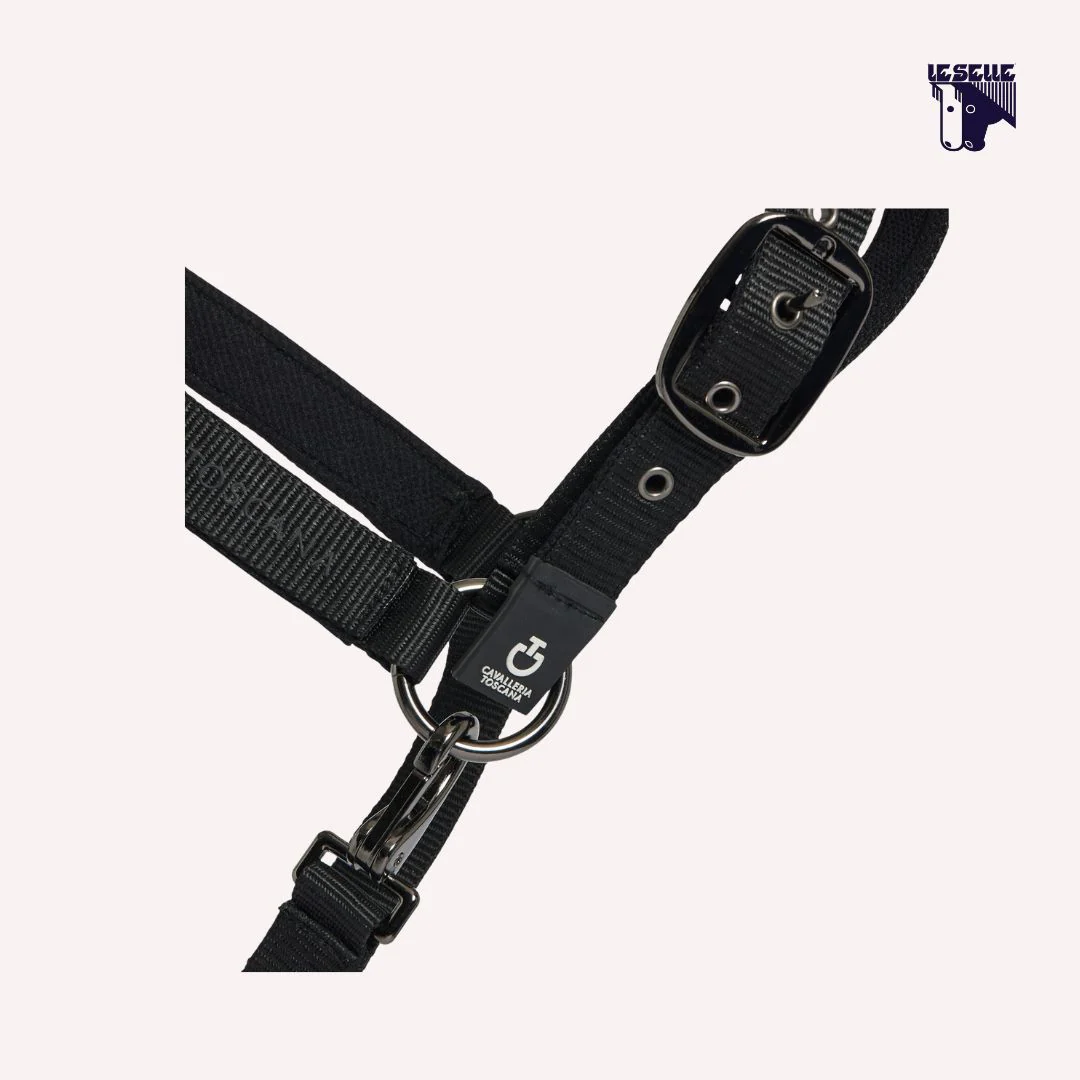 CAVEZZA E LUNGHINA CAVALLERIA TOSCANA - immagine 3