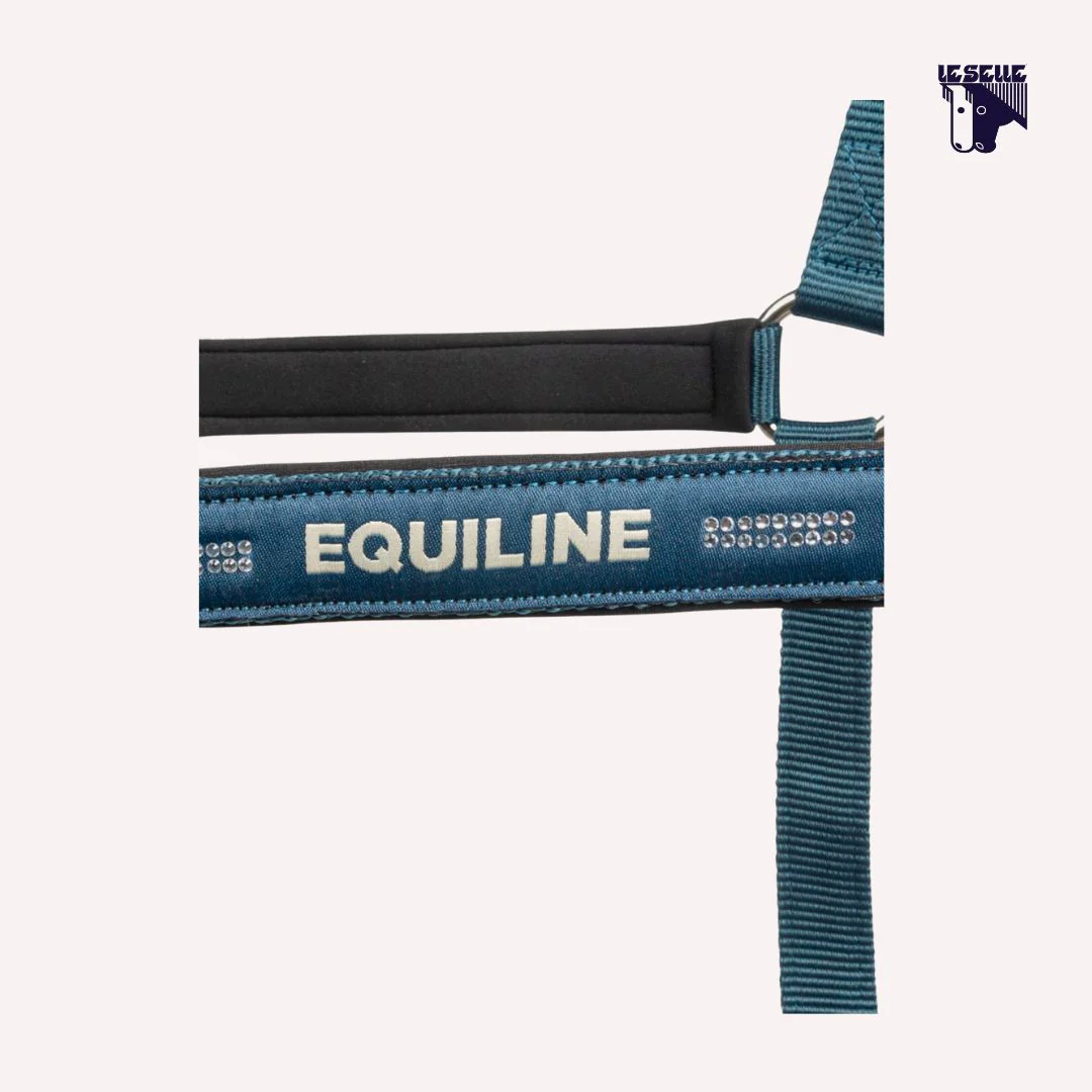 SET CAVEZZA E LUNGHINA ENKAS - LEGION BLUE - immagine 3