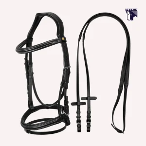 TESTIERA EQUESTRO ANATMICA - NERO