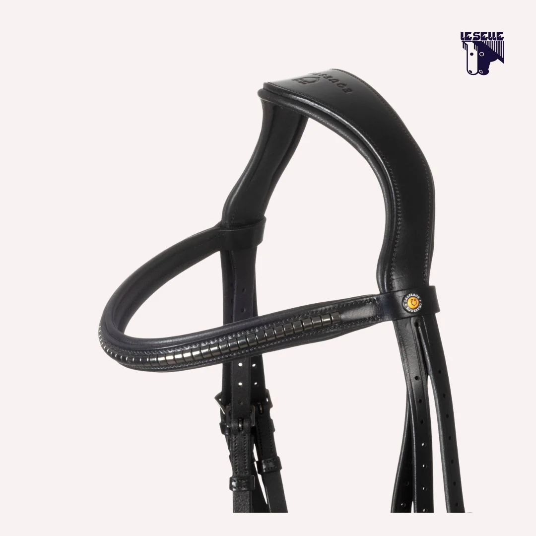 TESTIERA EQUESTRO ANATMICA CLINCHER - NERO - immagine 4