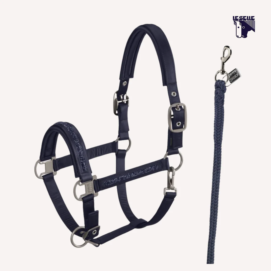 CAVEZZA E LUNGHINA ESKADRON MATTGLOSS JEWEL - BLU