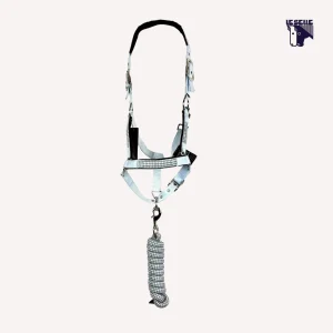 CAVEZZA E LUNGHINA EQUILINE CUATES - ICE