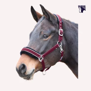 CAVEZZA BUSSE IDEAL - BORDEAUX