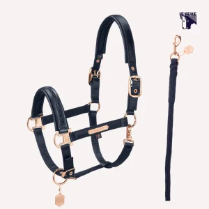 CAVEZZA E LUNGHINA ESKADRON MATTGLOSS JEWEL - BLU E ROSEGOLD