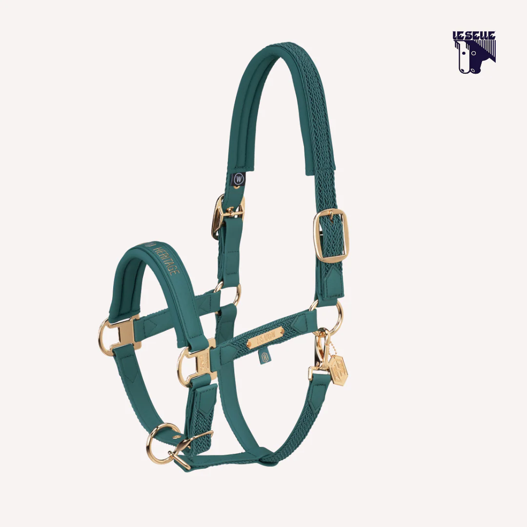 CAVEZZA ESKADRON FAUX LEATHER HERITAGE - VINTAGE GREEN - immagine 2