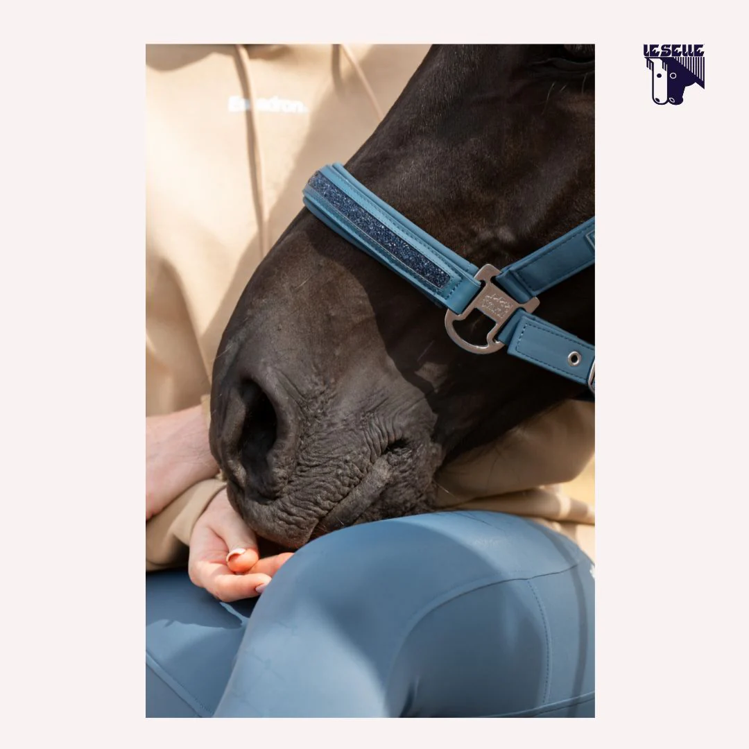 CAVEZZA ESKADRON OFTSHELL JEWEL - OTTANIO - immagine 3