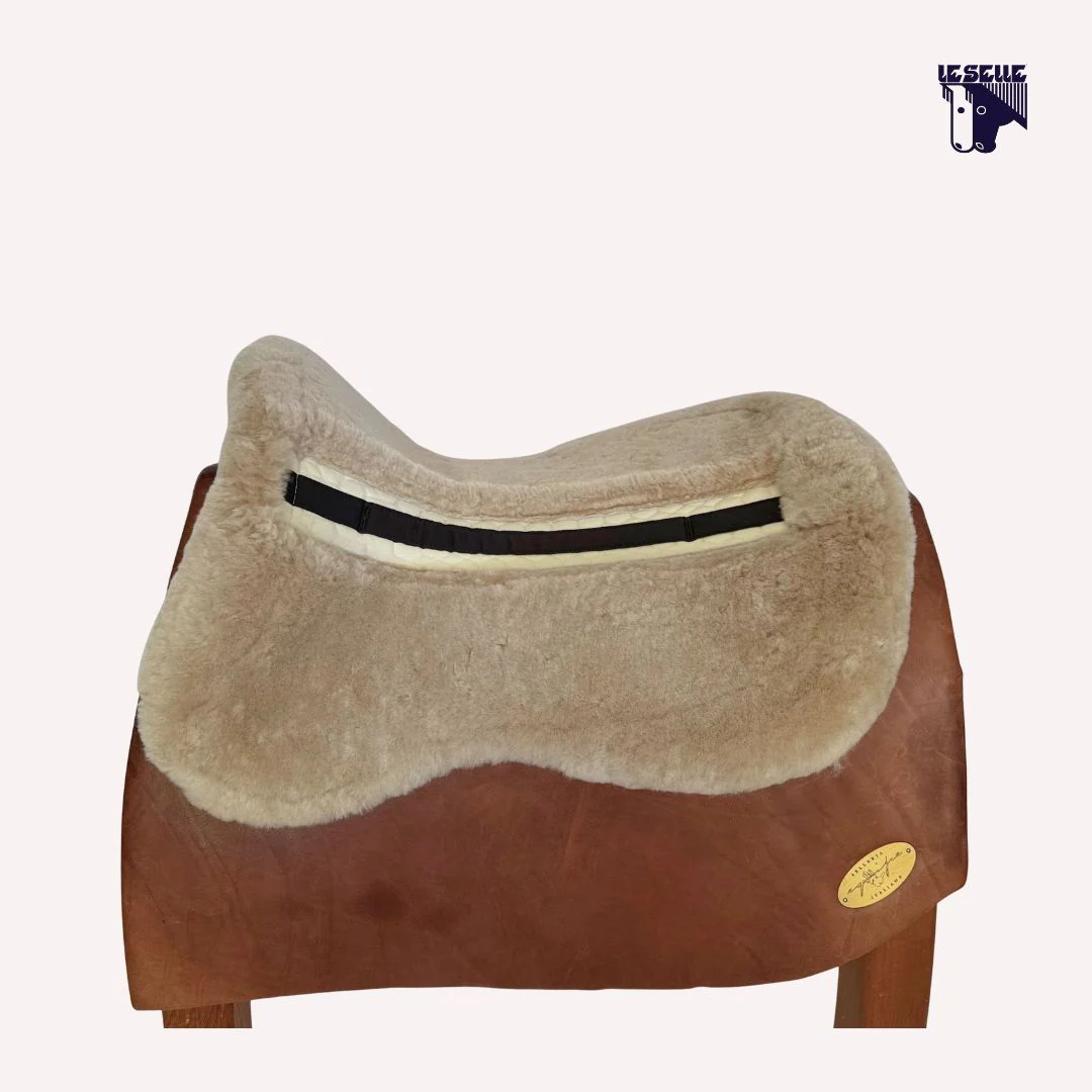 AGNELLINO SALVASCHIENA MATTES - PLATINO - immagine 3