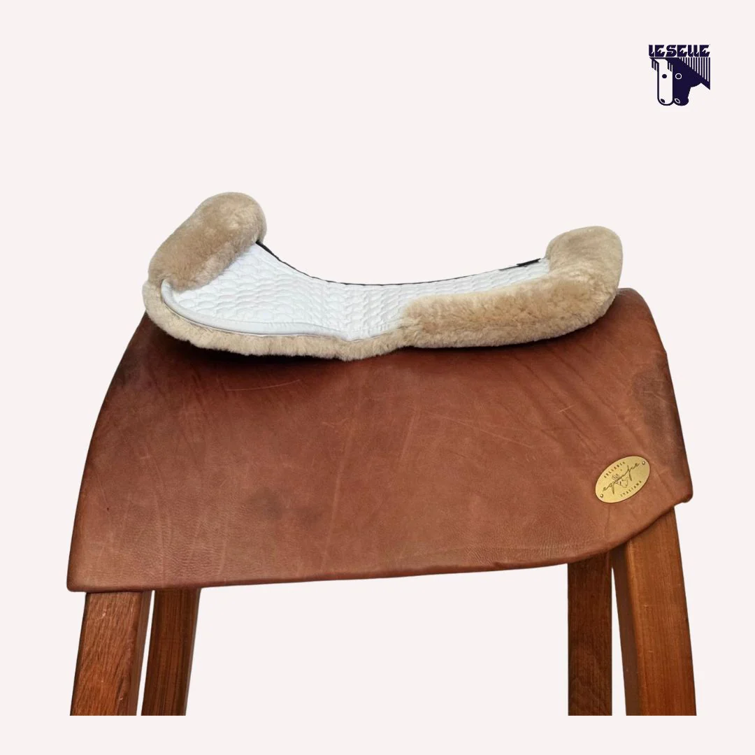 AGNELLINO SALVASCHIENA MATTES - PLATINO - immagine 4