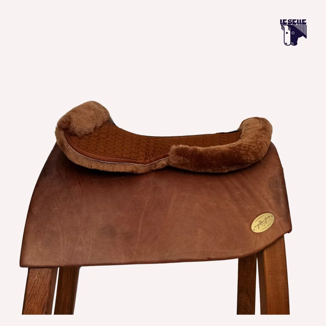 AGNELLINO SALVASCHIENA MATTES - WHISKEY - immagine 2