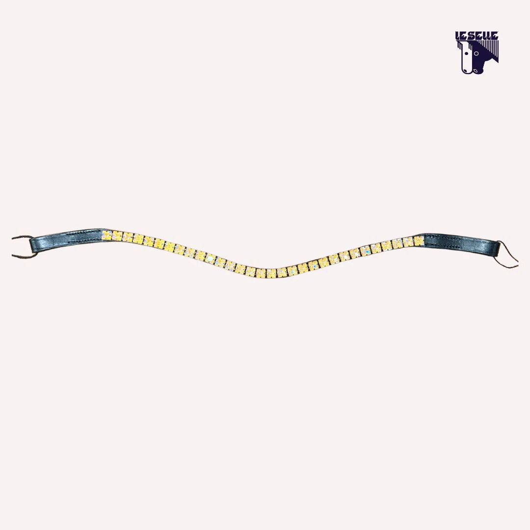 FRONTALINO SILVERLINE TACK - ARANCIO