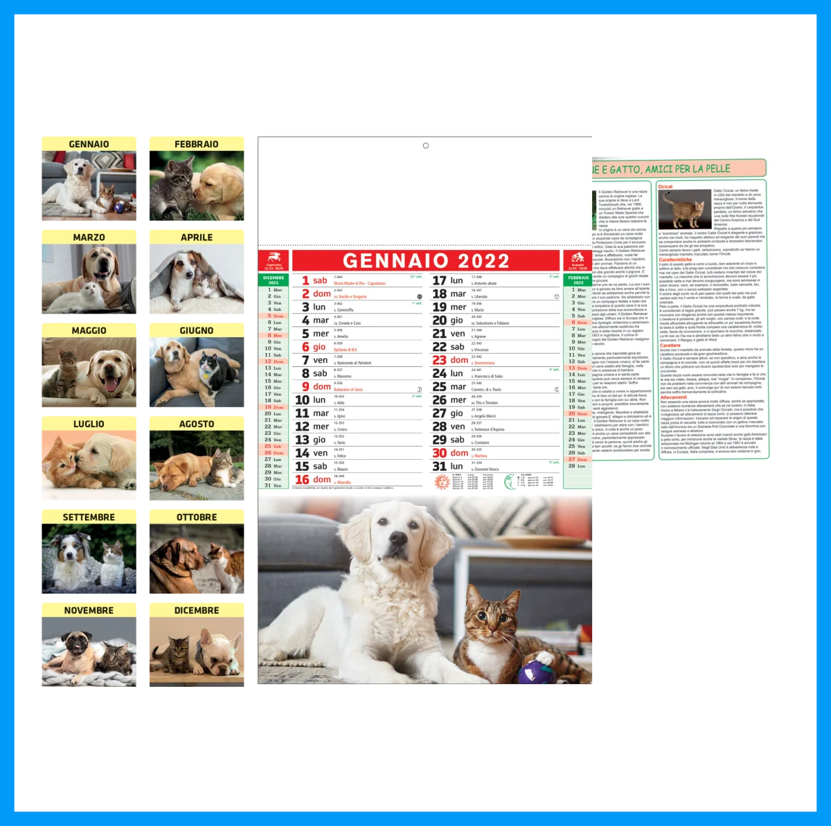 Calendario da parete classico tema “Cani e Gatti” 28,8x47cm personalizzabile (50-100 pezzi o preventivo) - immagine 2
