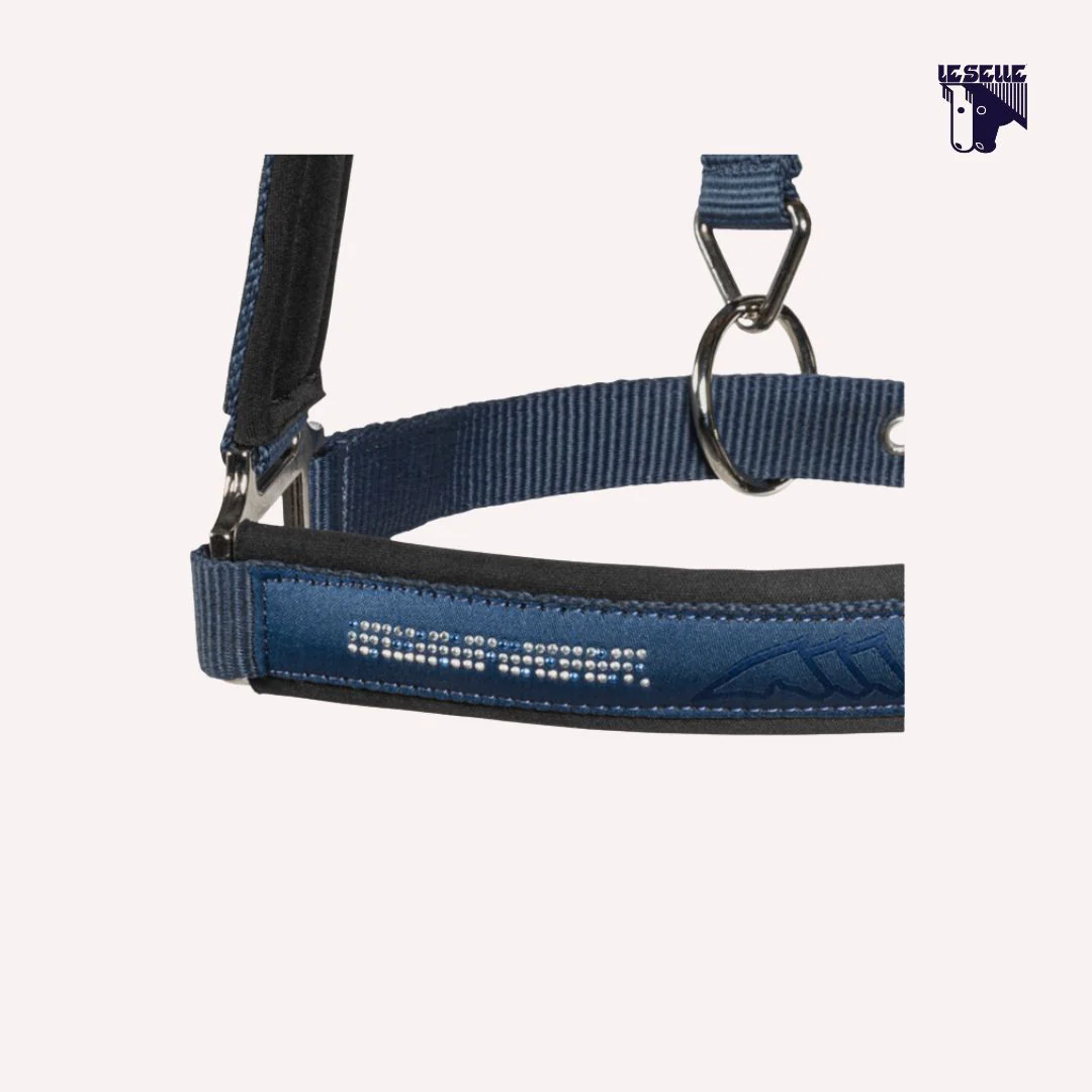 SET CAPEZZA E LONGHINA EQUILINE ESDINO - BLUE - immagine 3